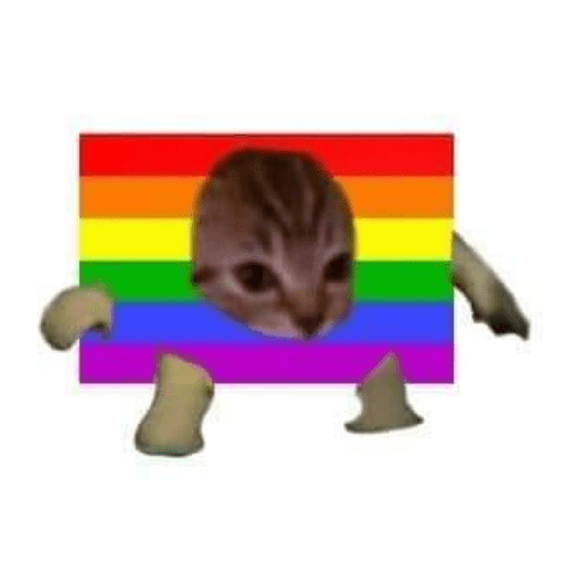Gato comida 28