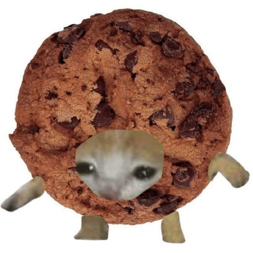 Gato comida 24