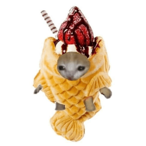 Gato comida 23