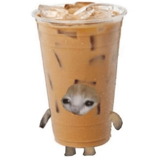 Gato comida 18