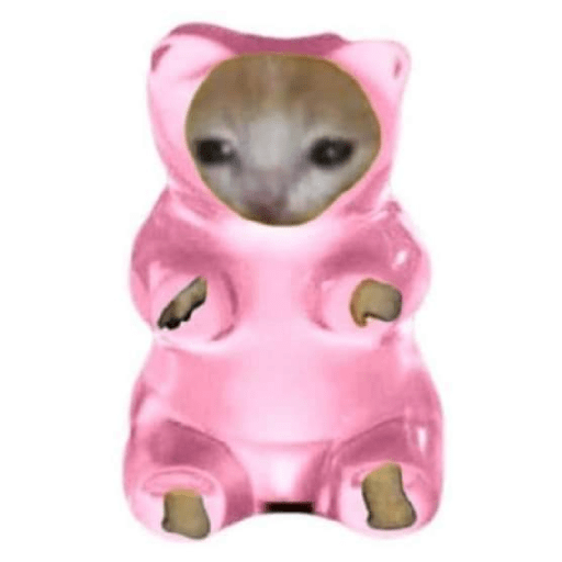 Gato comida 9