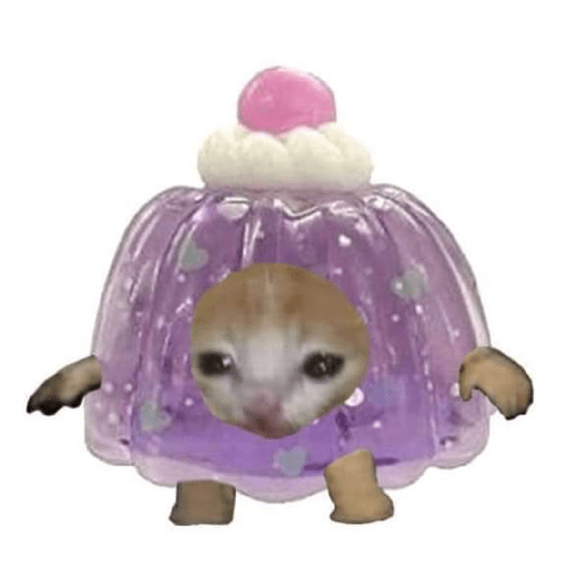 Gato comida 10