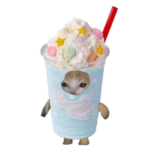 Gato comida 25