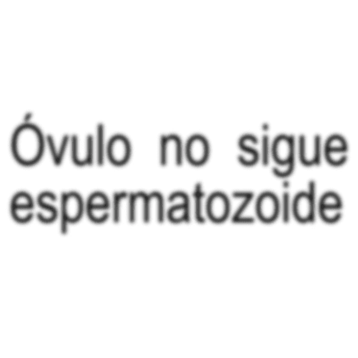 Textoo 2