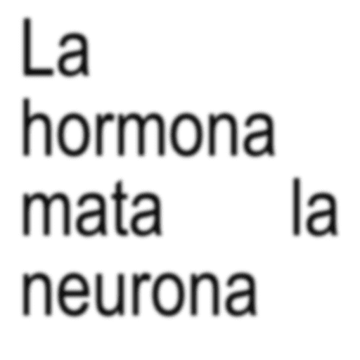 Textoo 21