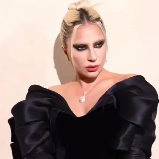 Lady Gaga 11