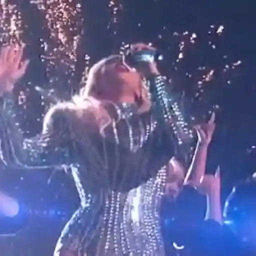 Lady Gaga 14