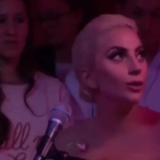 Lady Gaga 18