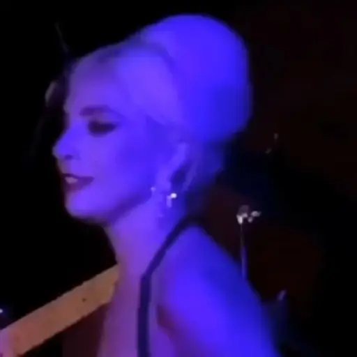 Lady Gaga 17