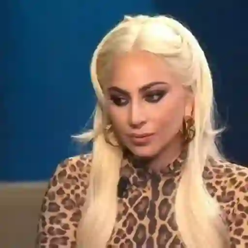 Lady Gaga 13