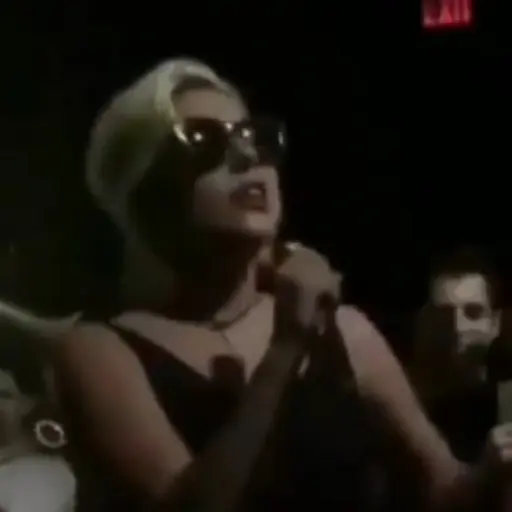 Lady Gaga 28