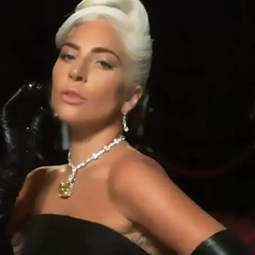 Lady Gaga 8
