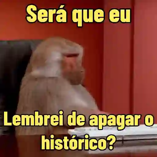 MEMES DE MACACO 🐒 7