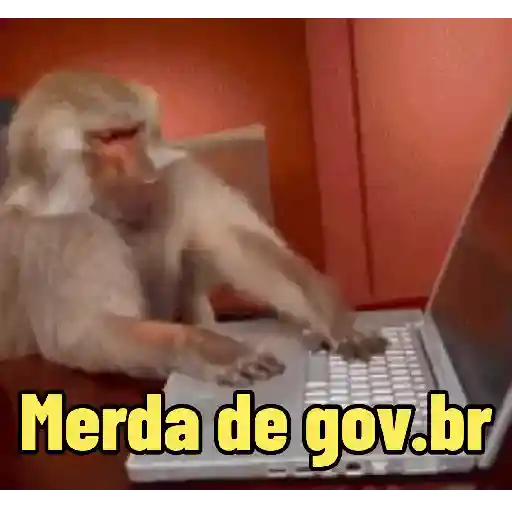 MEMES DE MACACO 🐒 1