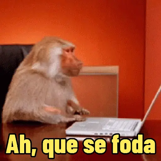 MEMES DE MACACO 🐒 2