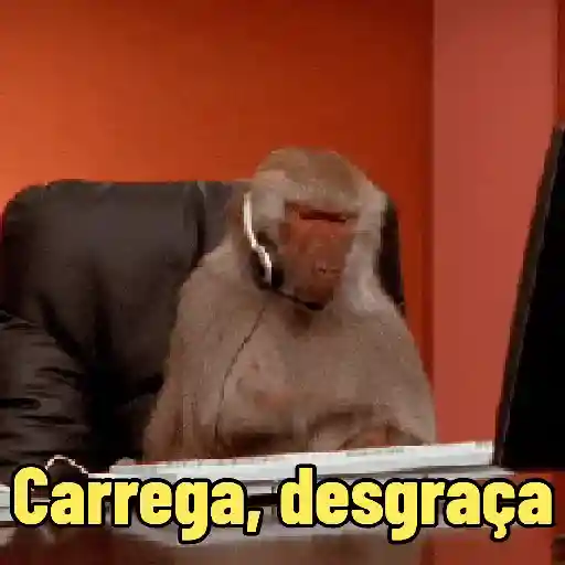 MEMES DE MACACO 🐒 3