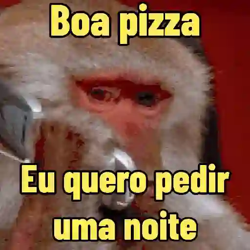 MEMES DE MACACO 🐒 4