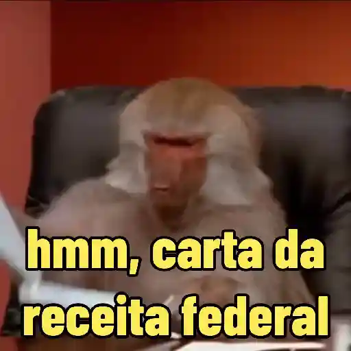 MEMES DE MACACO 🐒 5