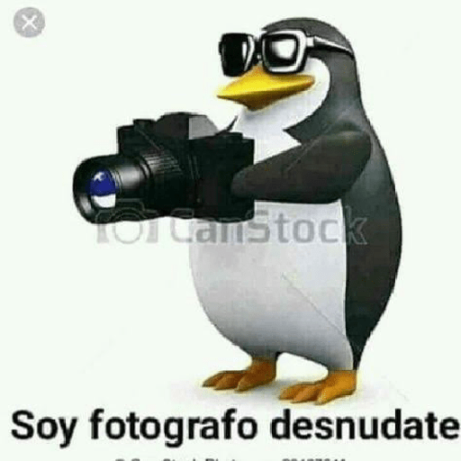 Memes shipost 2# 29