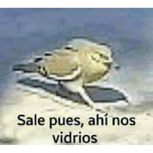 Memes shipost 2# 19