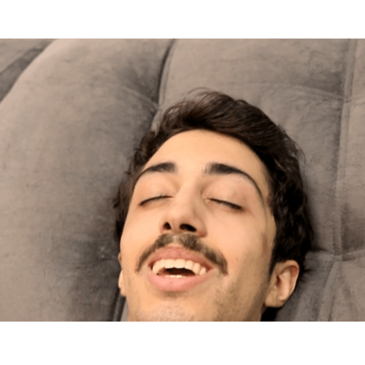 Minhas figs 22