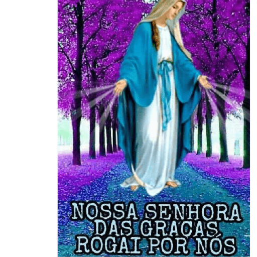 Mãe querida 16