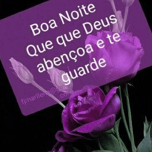 Mãe querida 14