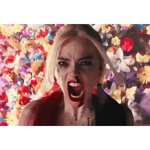 Harley 5