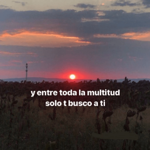 ✨☣️☁️Frases Vergaz🪐😎⚡ 4 7