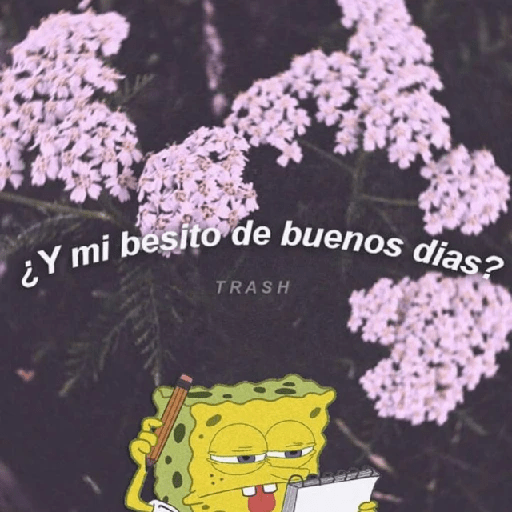 ✨☣️☁️Frases Vergaz🪐😎⚡ 4 8