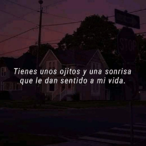 ✨☣️☁️Frases Vergaz🪐😎⚡ 4 2