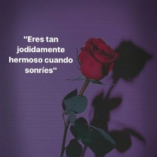 ✨☣️☁️Frases Vergaz🪐😎⚡ 4 19
