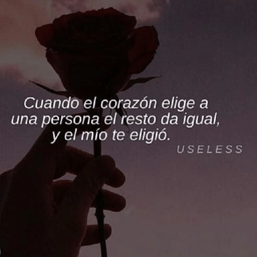 ✨☣️☁️Frases Vergaz🪐😎⚡ 4 23