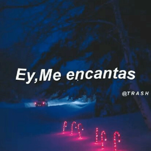 ✨☣️☁️Frases Vergaz🪐😎⚡ 4 5