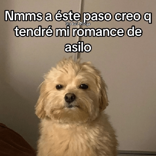 Memes Respuestas 3