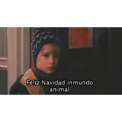 Navidad y año nuevo 14