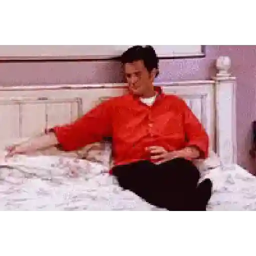Chandler Bing 16