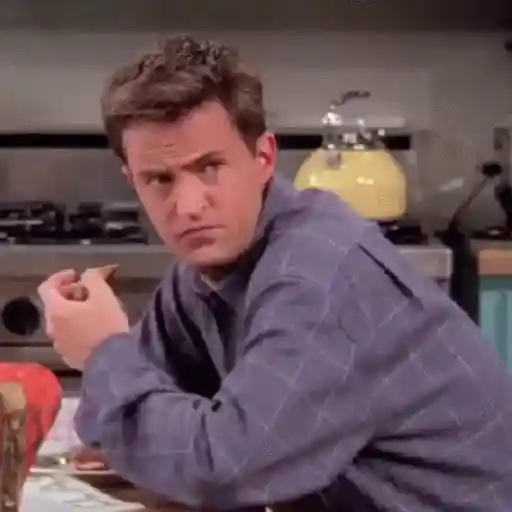 Chandler Bing 17