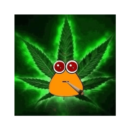 Pou 7
