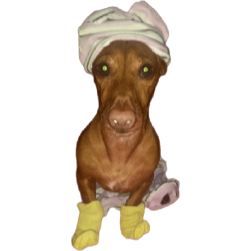 Sticker Image