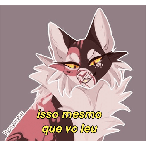 GATITOS GUERREIROS 9