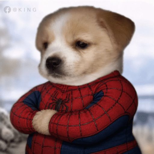 Jajajax 3
