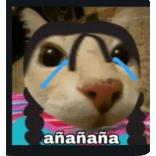 Jajajax 2