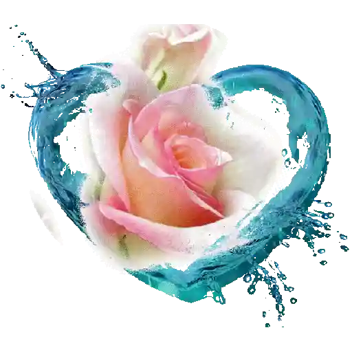 🌹❣️ WhatsApp 93.🌹❣️ 7
