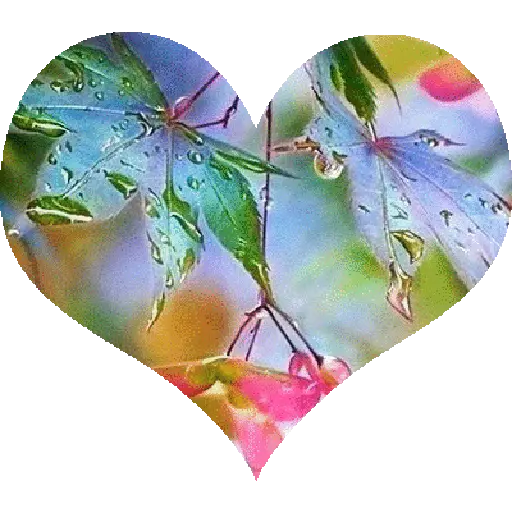 🌹❣️ WhatsApp 93.🌹❣️ 26