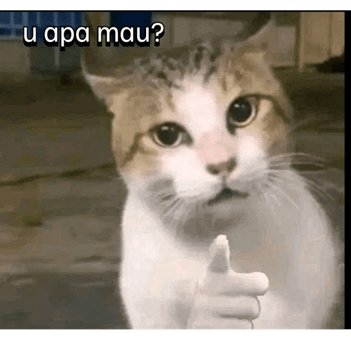 SOCOE 2