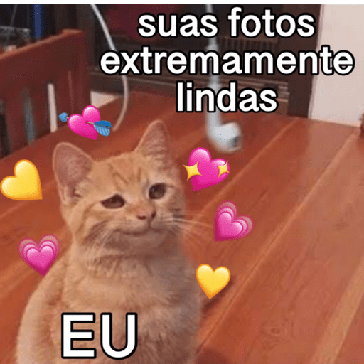 INDIRETAS 🥰