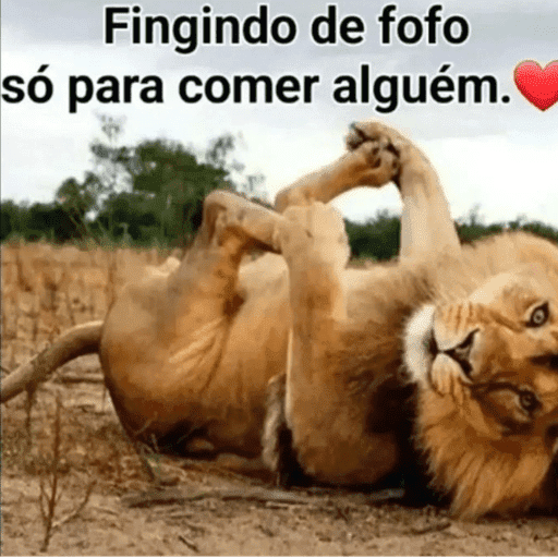  vinijrjaterminoucomvirginia?  3