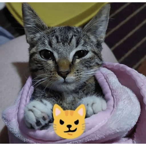 Sticker Image