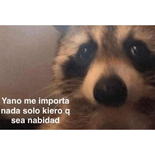 Animalitos memes 2🙃